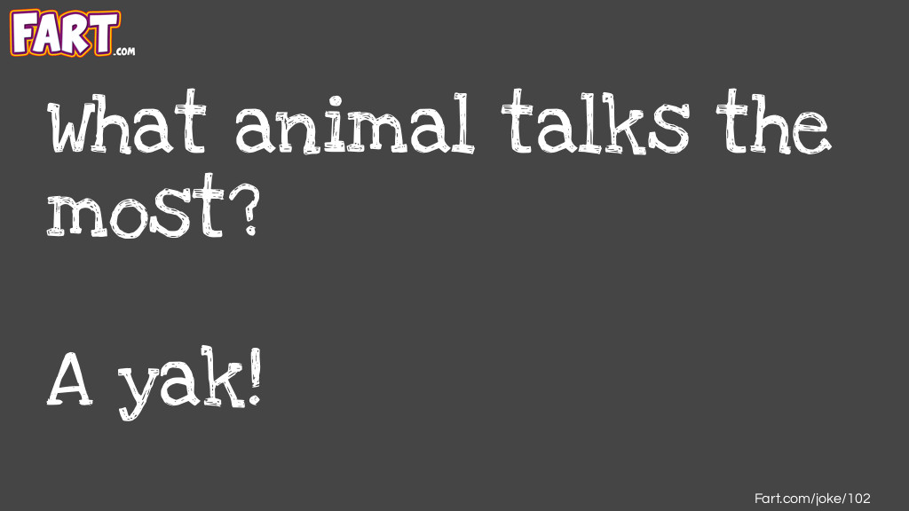 What animal talks the most Joke Meme.