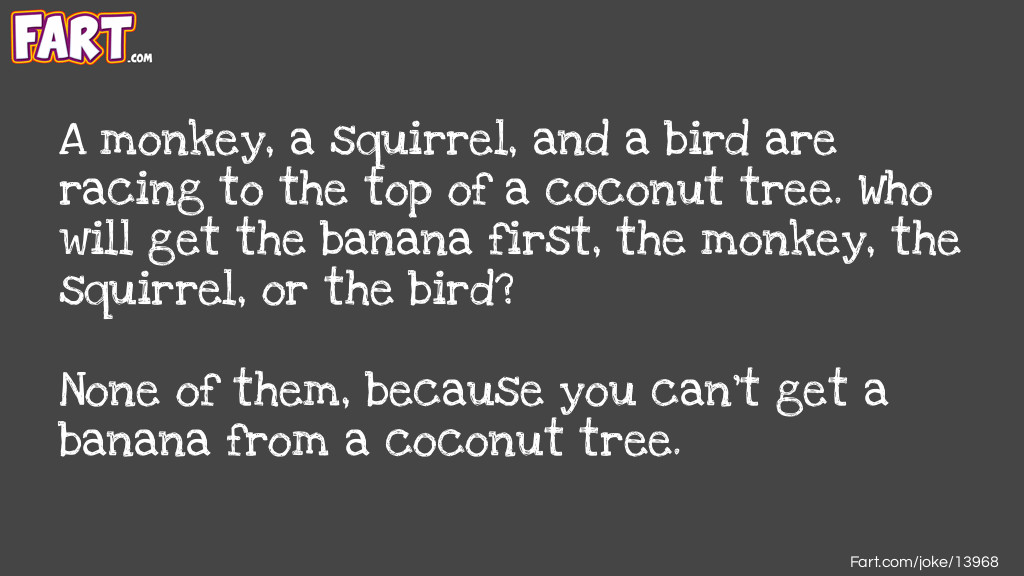 A monkey a squirrel and a bird joke Joke Meme.