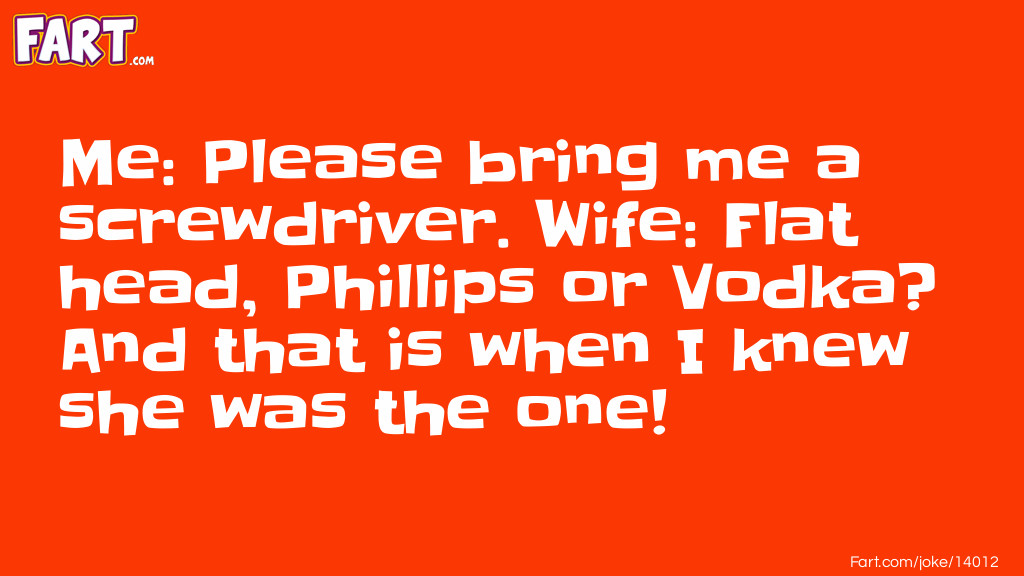 Me: Please bring me a screwdriver. Wife: Flat head, Phillips or Vodka? And that is when I knew she was the one! Joke Meme.