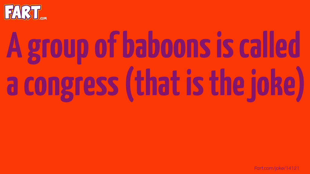 Congress or Baboon's Joke Joke Meme.