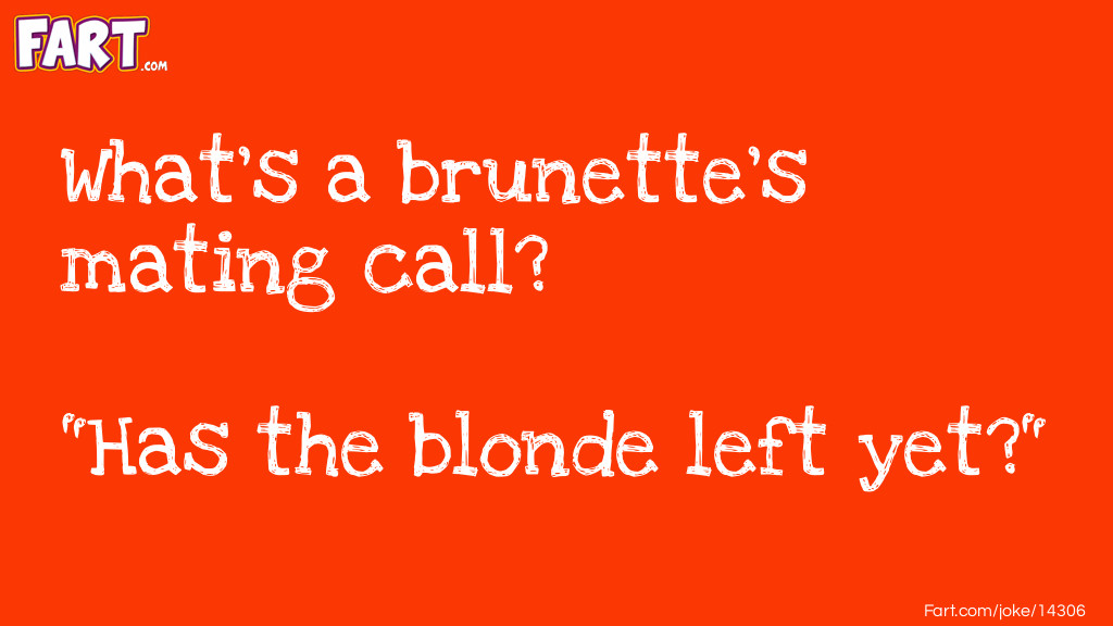 Brunette Joke #2 Joke Meme.