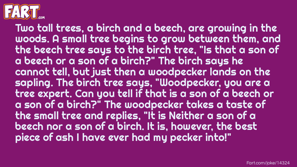 Three trees and a woodpecker Joke Meme.
