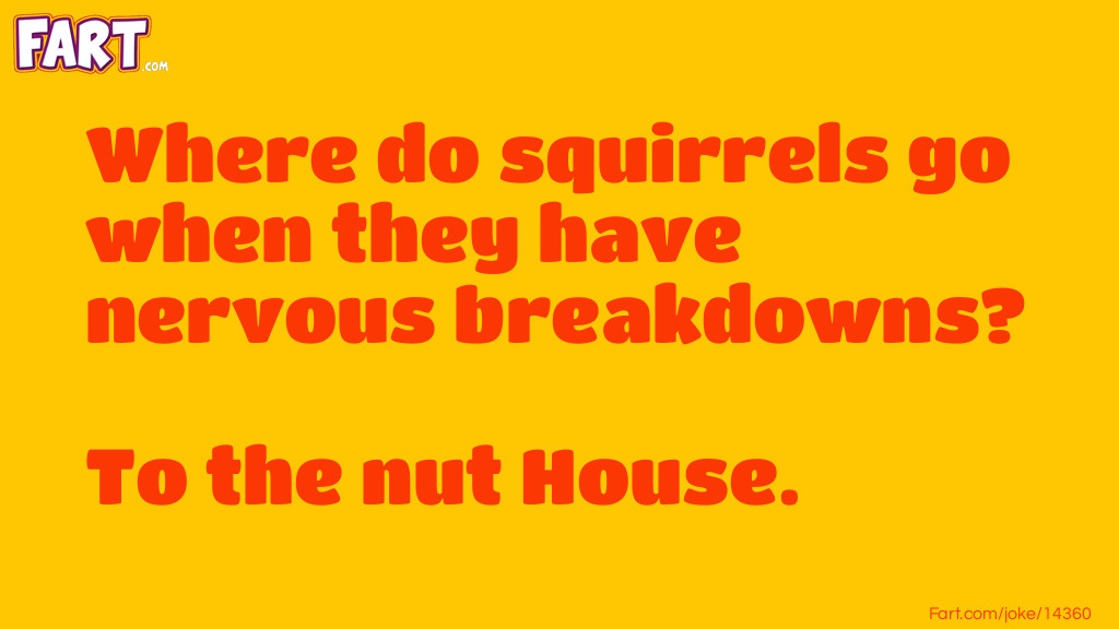 The nervous squirrel Joke Meme.