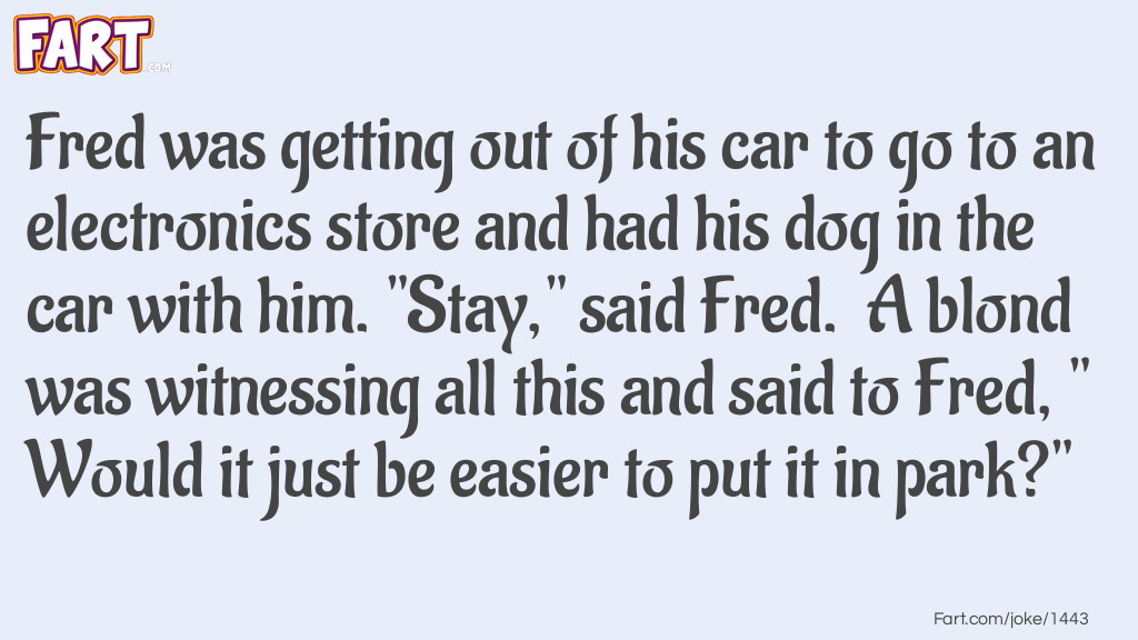 The Dog and The Car Joke Meme.