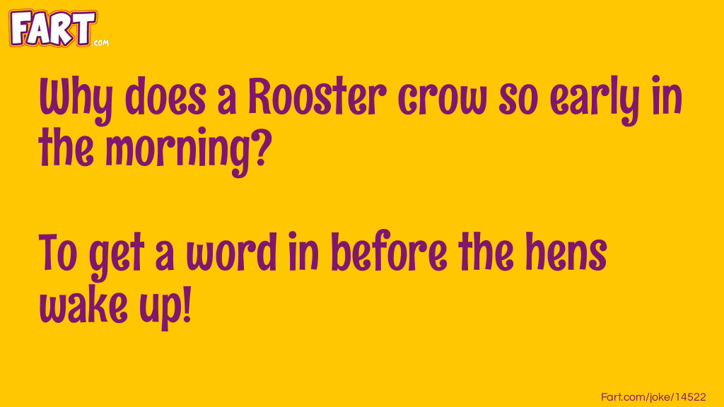 Why Does a Rooster Crow? Joke Meme.