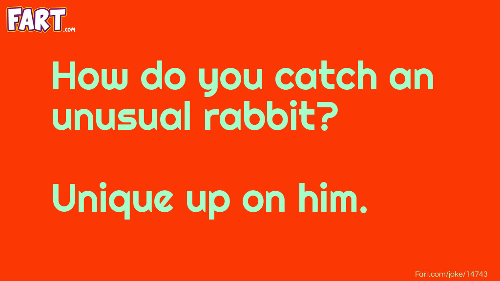 Unusual rabbit joke Joke Meme.