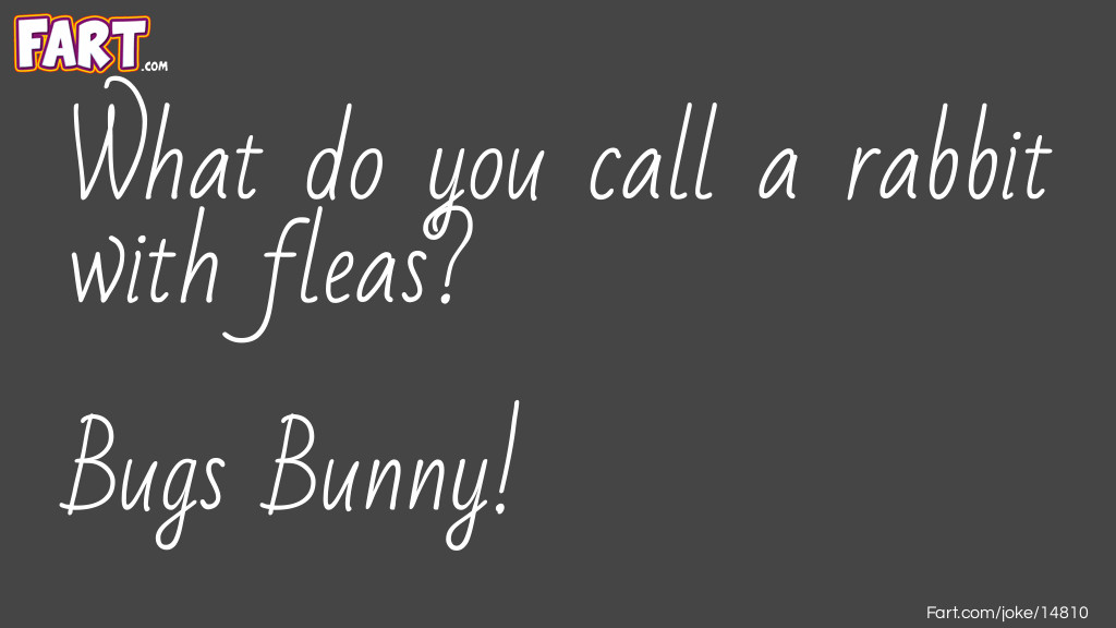 Rabbit with Fleas Joke Joke Meme.