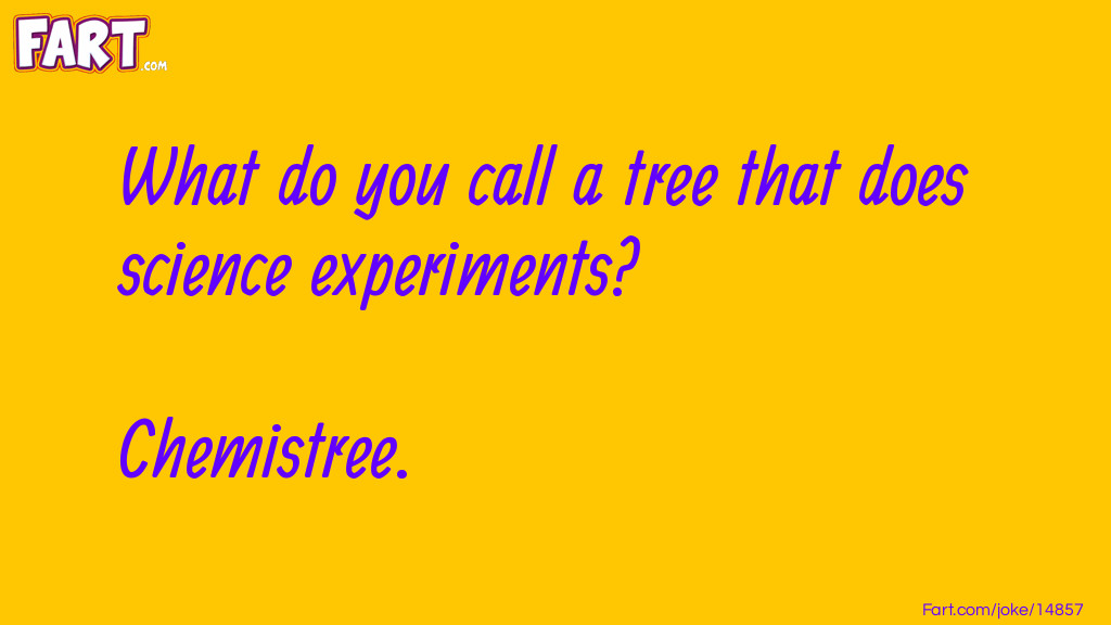 Tree Scientist Joke Joke Meme.