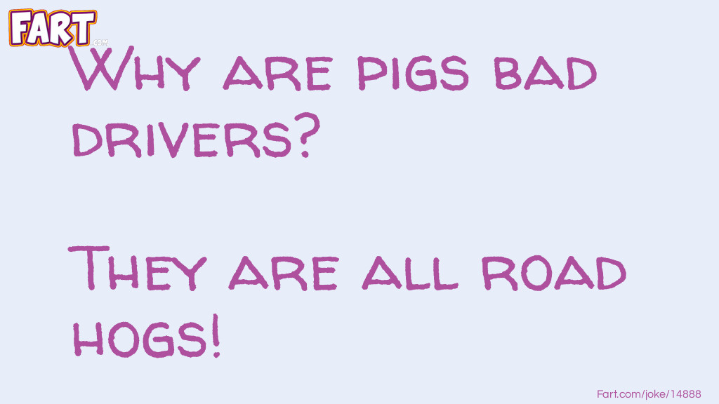 Pig Drivers Joke Joke Meme.