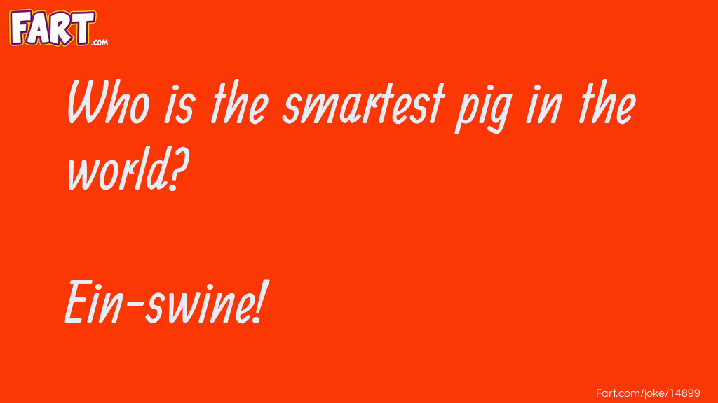 Smartest Pig In The World Joke Meme.
