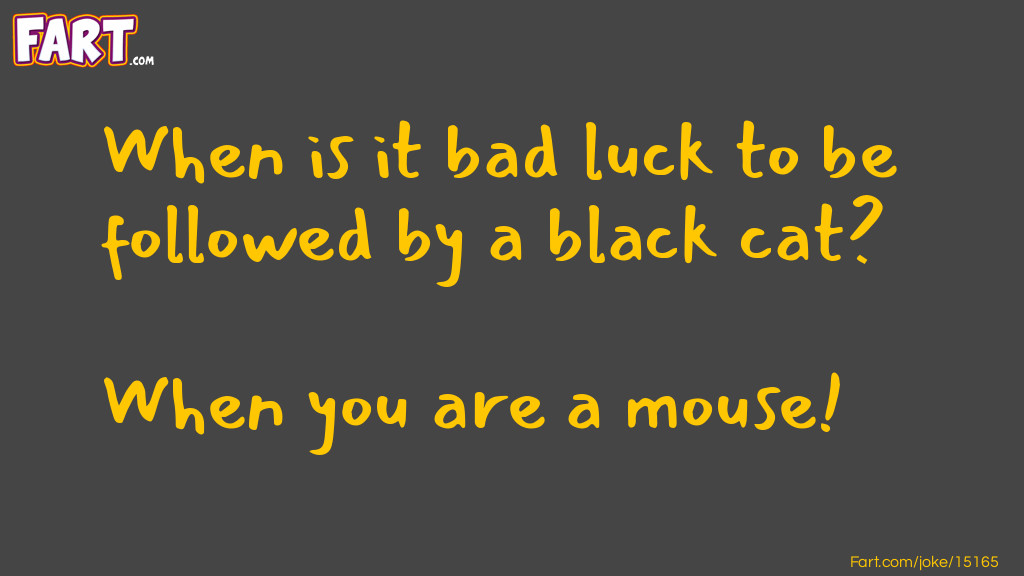 Black Cat Bad Luck Joke Joke Meme.