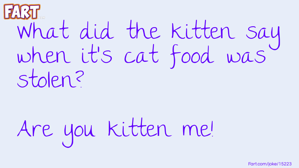 What did the kitten say when its cat food was stolen joke Joke Meme.