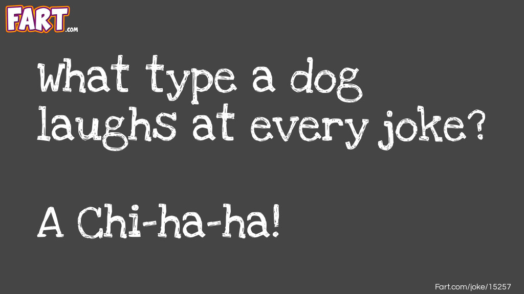 Laughing Dog Joke Joke Meme.