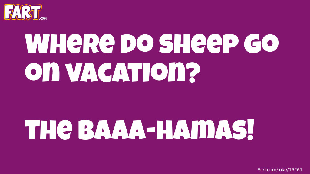 Sheep Vacation Destination Joke Joke Meme.