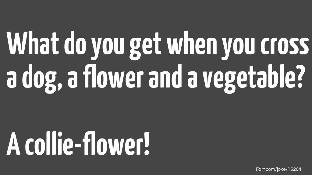 Dog Flower Vegetable Joke Joke Meme.