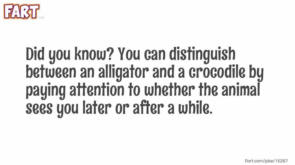 Did you know Alligator vs Crocodile Joke Joke Meme.
