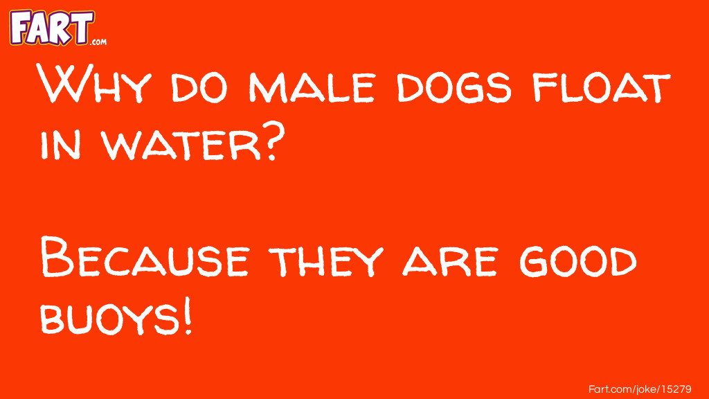 Why do male dogs float in water joke Joke Meme.