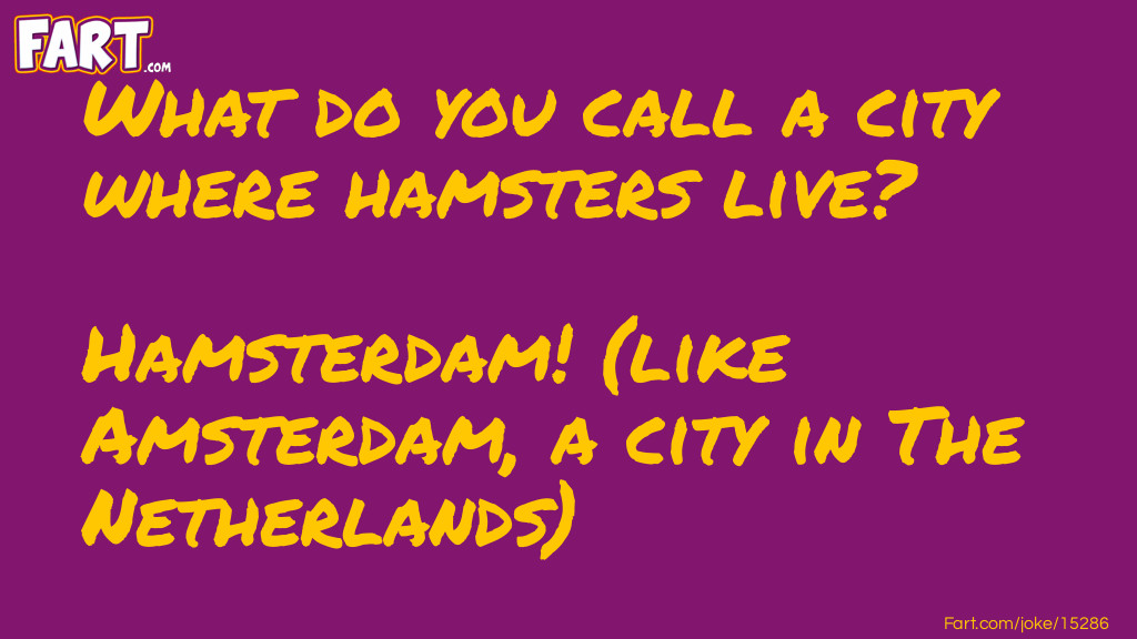 Hamster City Joke Joke Meme.