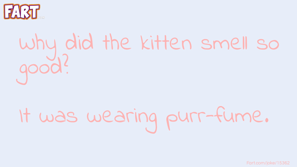Why did the kitten smell so good? Joke Meme.