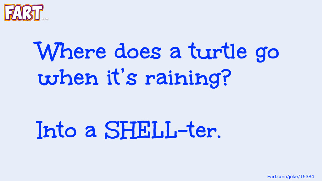 Where does a turtle go when it’s raining? Joke Meme.