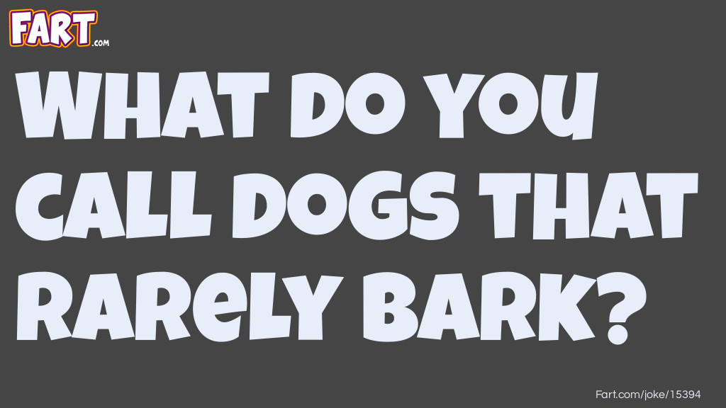 What do you call dogs that rarely bark joke Joke Meme.