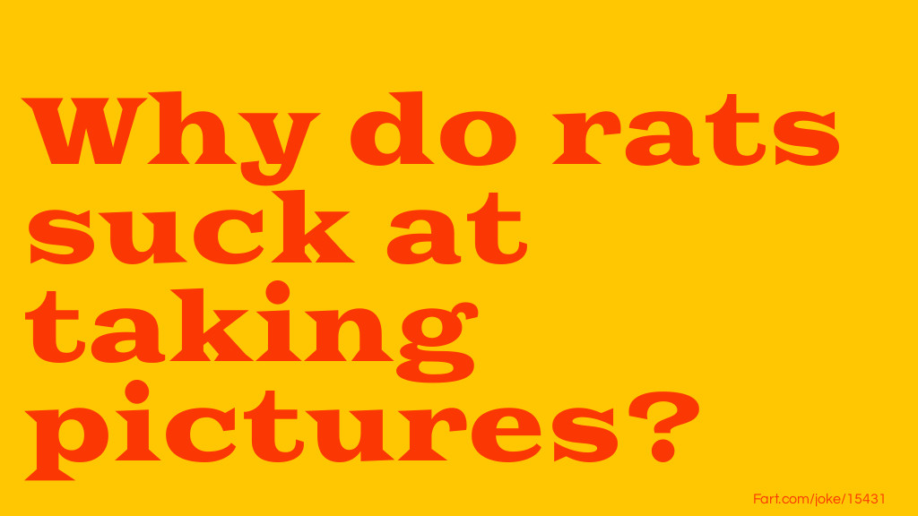 Why do rats suck at taking pictures? Joke Meme.