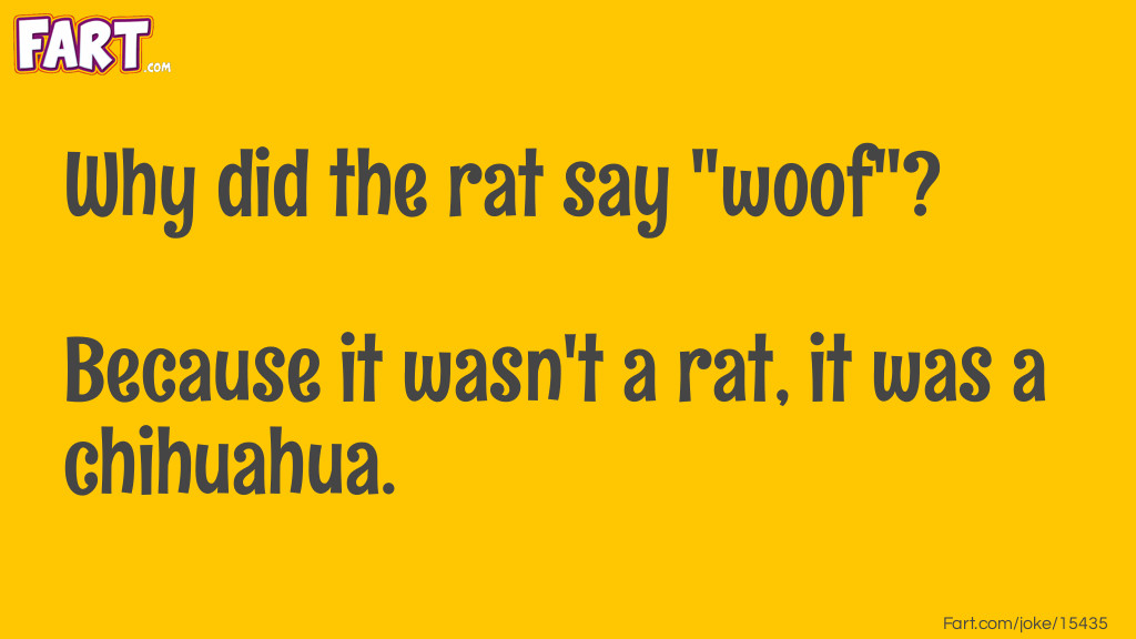 Why did the rat say "woof"? Joke Meme.
