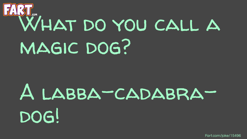 Magic Dog Joke Joke Meme.