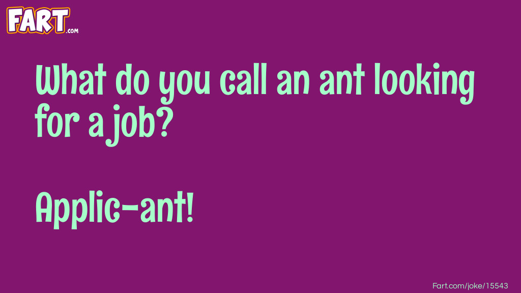 Ant looking for a job joke Joke Meme.