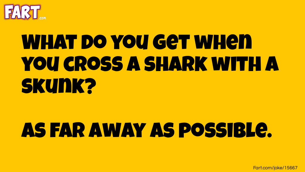 What do get when you cross a shark with a skunk? Joke Meme.