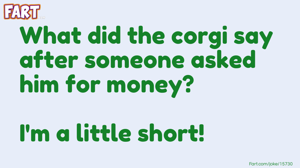 Corgi Joke Joke Meme.