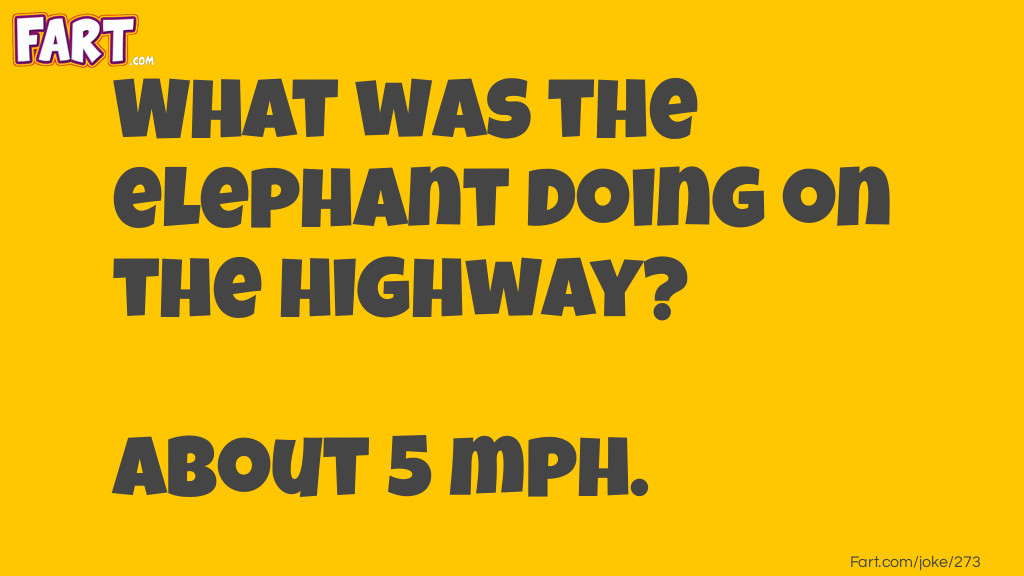 Elephant on a Highway Joke Meme.