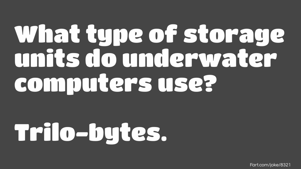 What type of storage units do underwater computers use? Joke Meme.